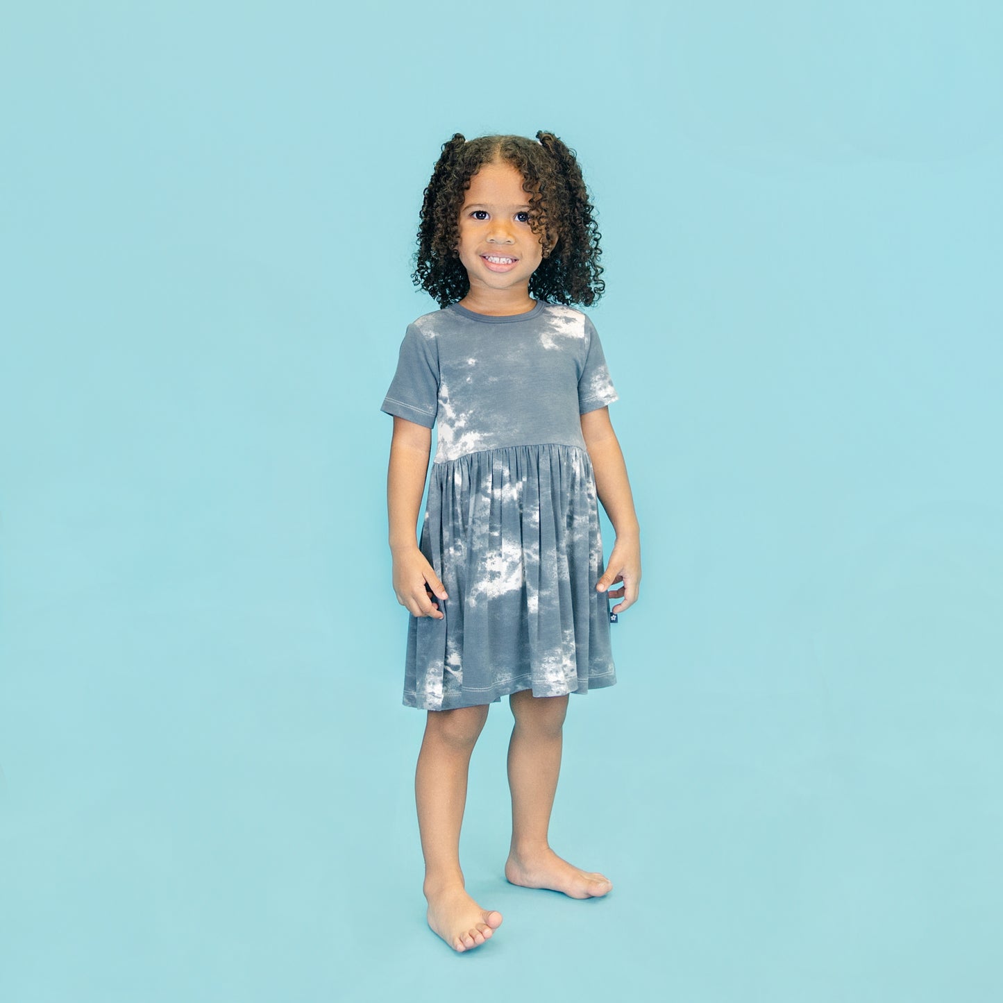 Twirl Dress in Dark Slate