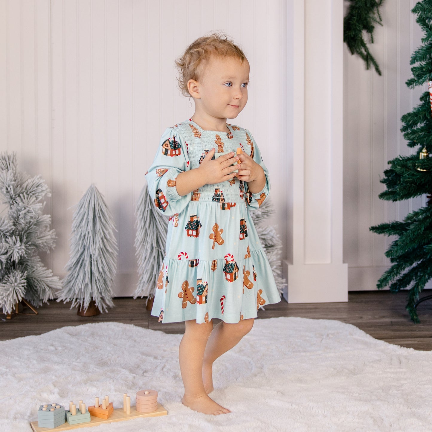 Long Sleeve Smocked Dress in Gingerbread Lane
