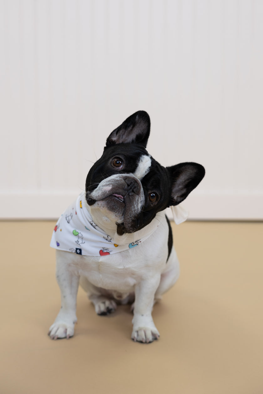 Dog Bandana in Puppy Love