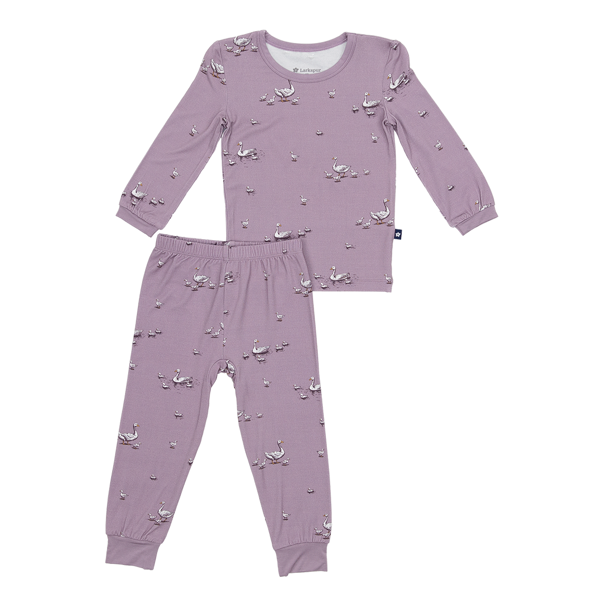 Long PJ Set in Silly Goose