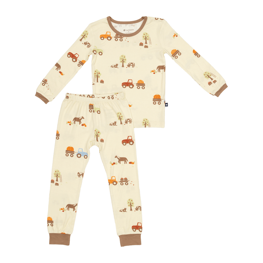Long PJ Set in Autumn Harvest
