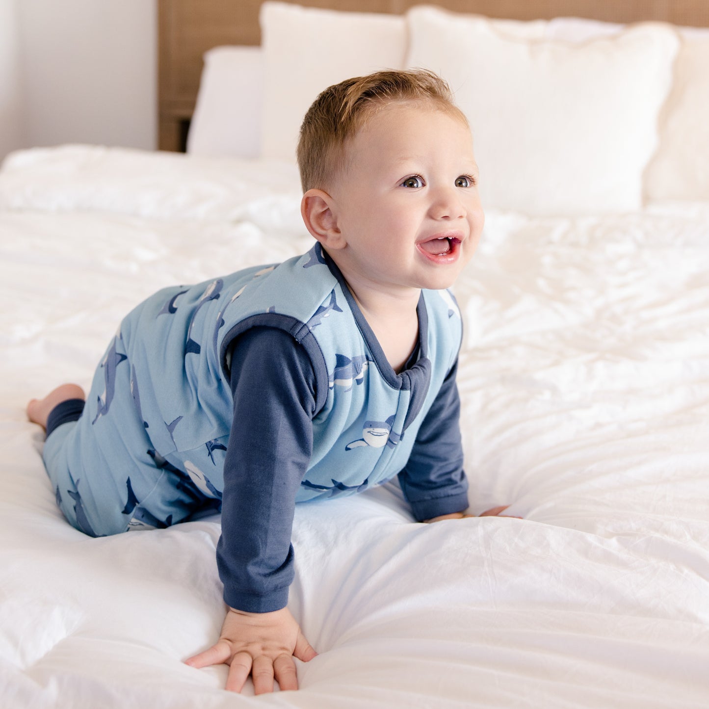 Sleep Sack Walker in Sharks 1.0 TOG