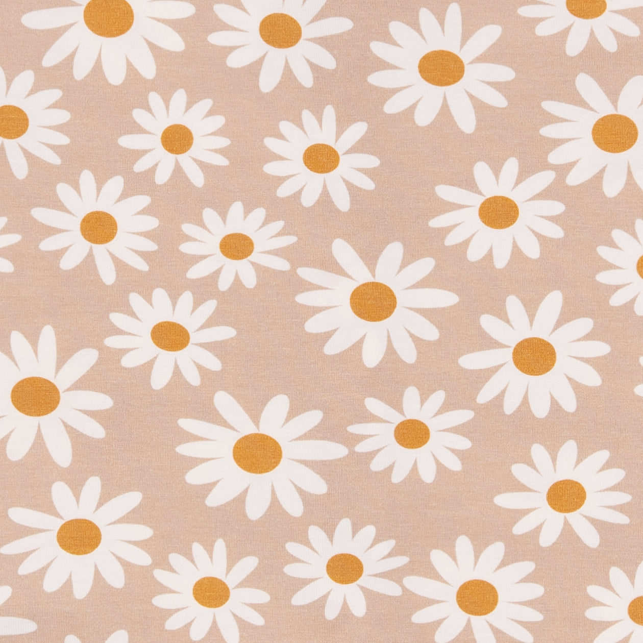 Long sleeve Skater Dress with Pockets in Daisy Days