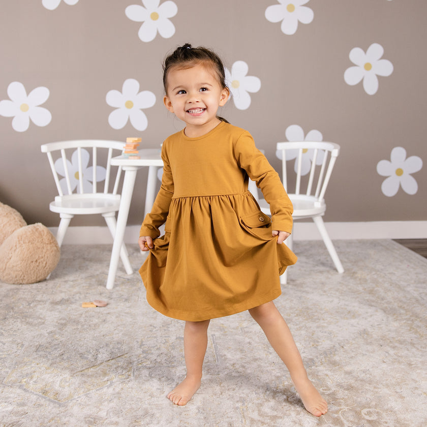 Long sleeve Skater Dress with Pockets in Maplewood