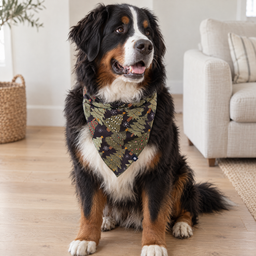 Pet Bandana in Festive Trees